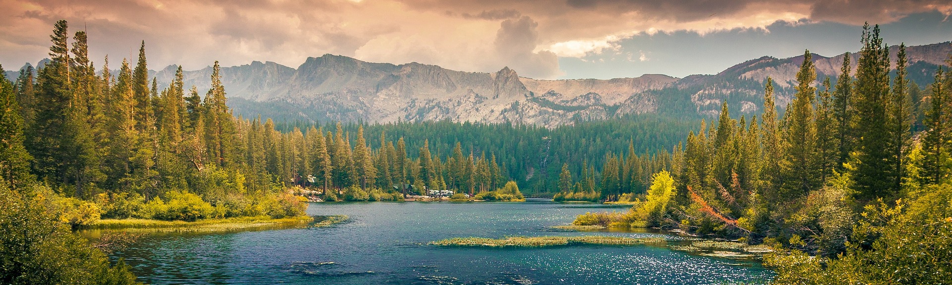 Sebastian Livingstone-Learmonth